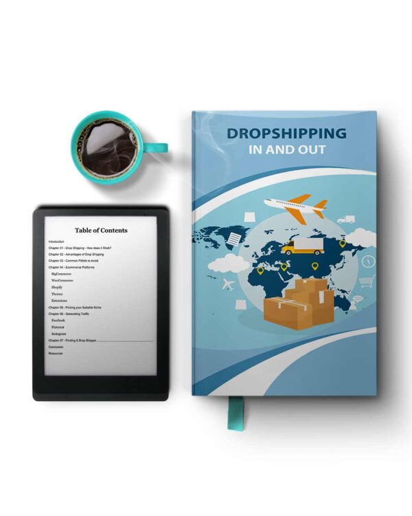 Dropshipping - In and Out